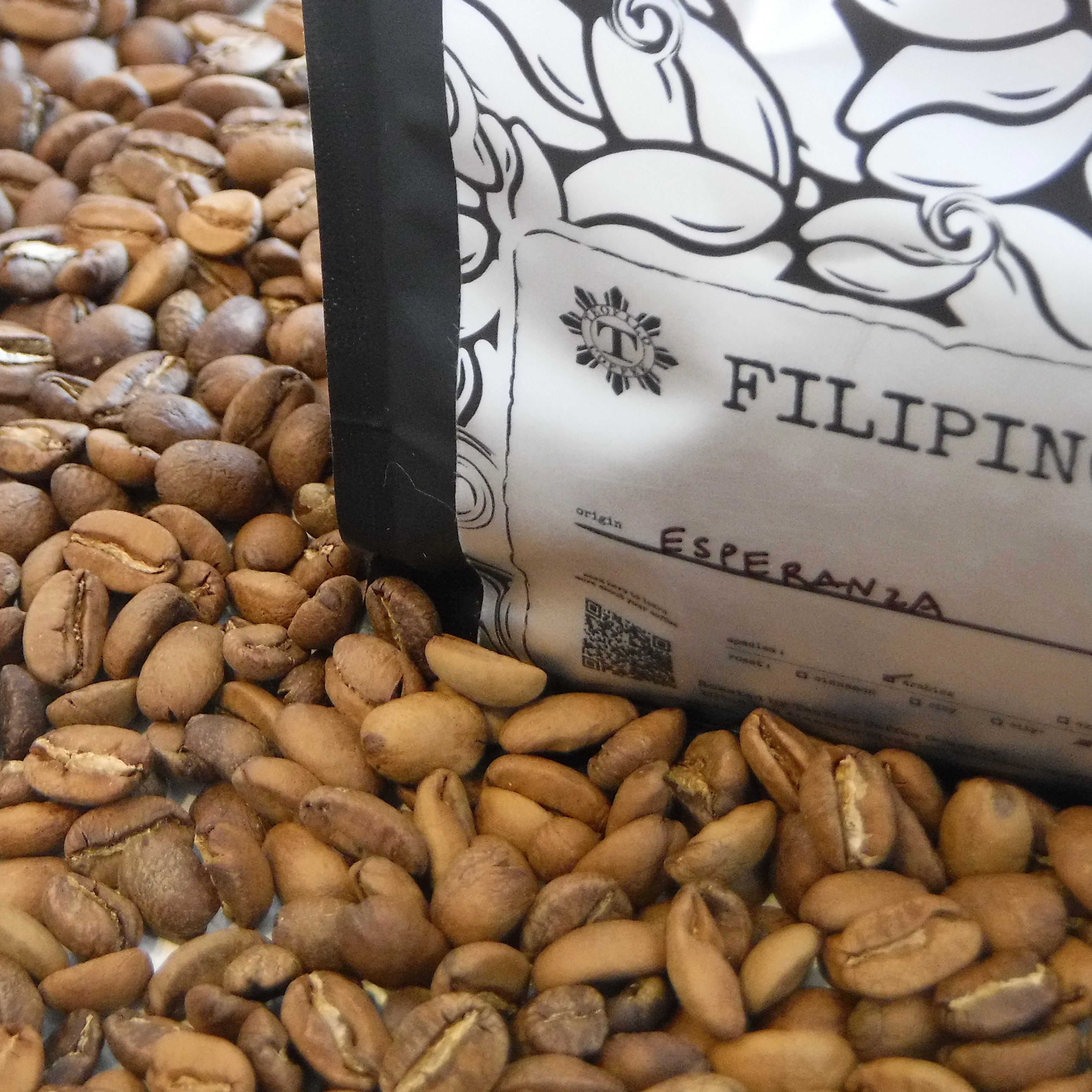 1 Robusta Sigay, Ilocos Sur(8 oz or 12oz Bag) – Teofilo Coffee Company
